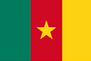 flag-cameroon